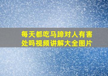 每天都吃马蹄对人有害处吗视频讲解大全图片