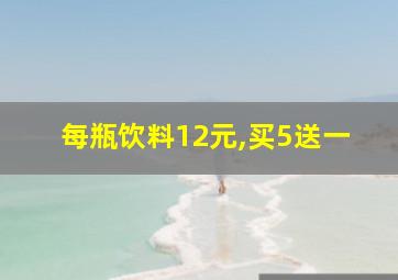 每瓶饮料12元,买5送一