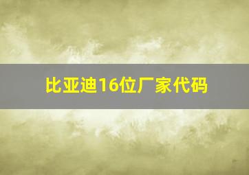 比亚迪16位厂家代码