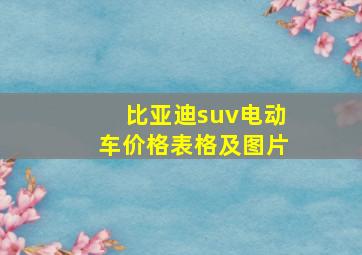 比亚迪suv电动车价格表格及图片