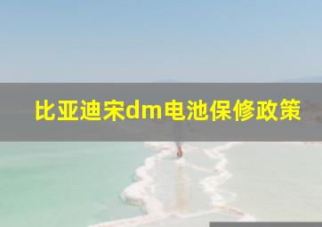 比亚迪宋dm电池保修政策