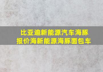 比亚迪新能源汽车海豚报价海新能源海豚面包车