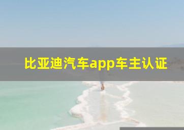 比亚迪汽车app车主认证