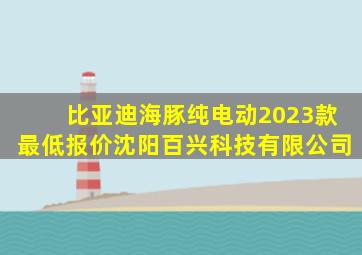 比亚迪海豚纯电动2023款最低报价沈阳百兴科技有限公司