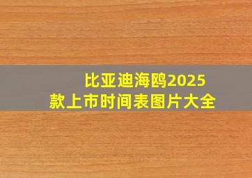 比亚迪海鸥2025款上市时间表图片大全