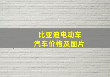 比亚迪电动车汽车价格及图片