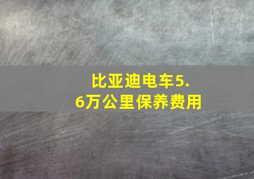 比亚迪电车5.6万公里保养费用