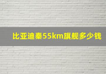 比亚迪秦55km旗舰多少钱