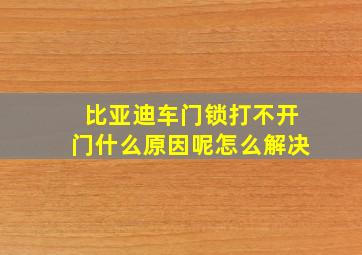 比亚迪车门锁打不开门什么原因呢怎么解决