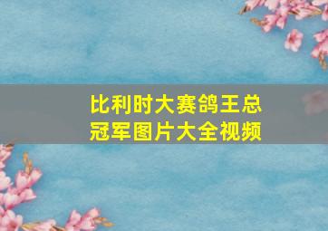 比利时大赛鸽王总冠军图片大全视频