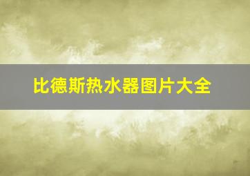 比德斯热水器图片大全