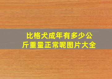 比格犬成年有多少公斤重量正常呢图片大全