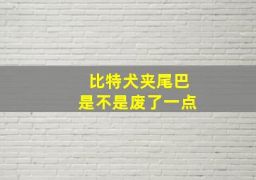 比特犬夹尾巴是不是废了一点