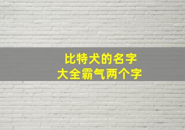 比特犬的名字大全霸气两个字