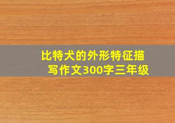 比特犬的外形特征描写作文300字三年级