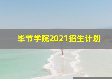 毕节学院2021招生计划