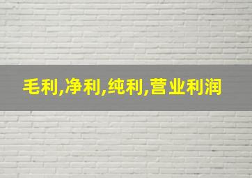 毛利,净利,纯利,营业利润