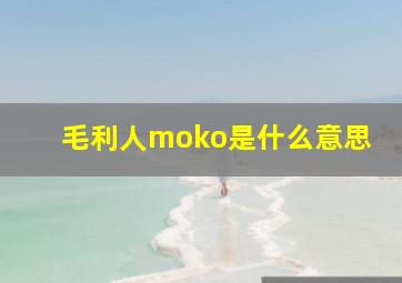 毛利人moko是什么意思