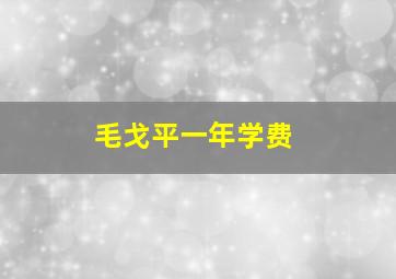 毛戈平一年学费