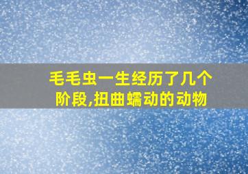 毛毛虫一生经历了几个阶段,扭曲蠕动的动物