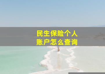 民生保险个人账户怎么查询