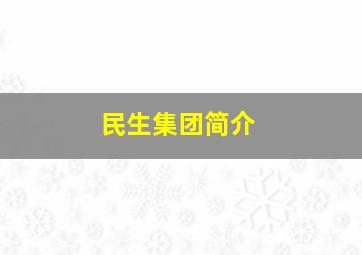 民生集团简介