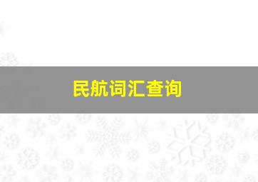 民航词汇查询