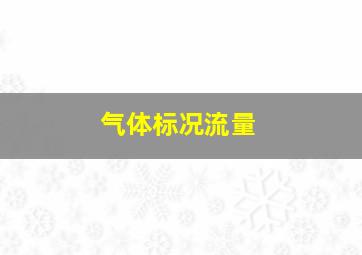 气体标况流量