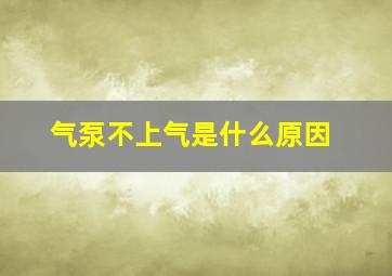 气泵不上气是什么原因