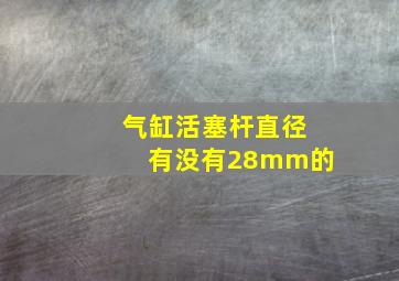 气缸活塞杆直径有没有28mm的