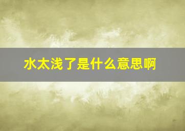 水太浅了是什么意思啊