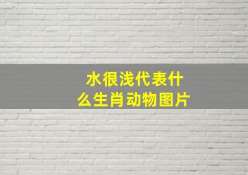 水很浅代表什么生肖动物图片