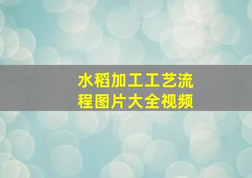 水稻加工工艺流程图片大全视频