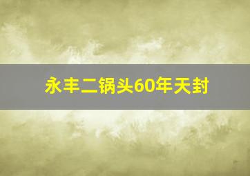 永丰二锅头60年天封