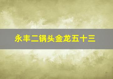 永丰二锅头金龙五十三