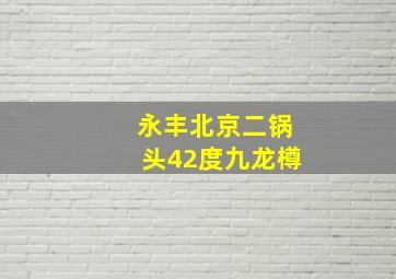 永丰北京二锅头42度九龙樽