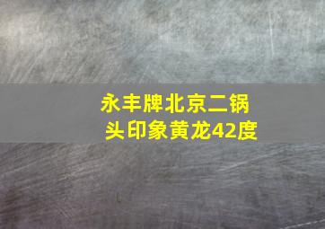 永丰牌北京二锅头印象黄龙42度