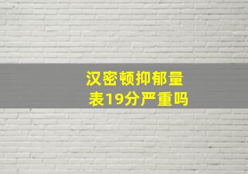 汉密顿抑郁量表19分严重吗