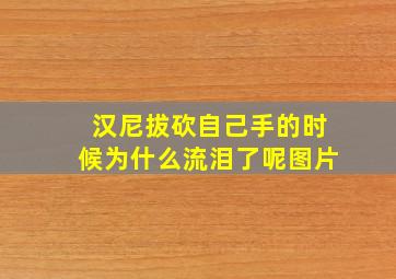 汉尼拔砍自己手的时候为什么流泪了呢图片