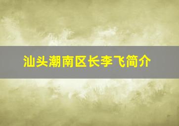 汕头潮南区长李飞简介