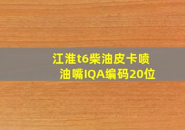 江淮t6柴油皮卡喷油嘴IQA编码20位