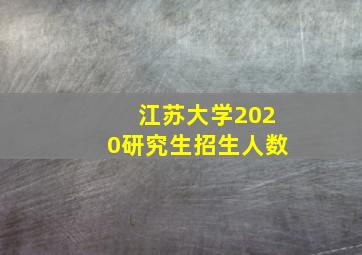 江苏大学2020研究生招生人数