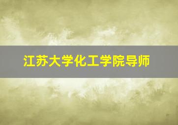 江苏大学化工学院导师