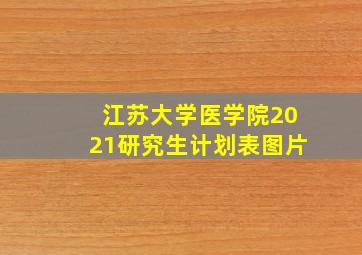 江苏大学医学院2021研究生计划表图片