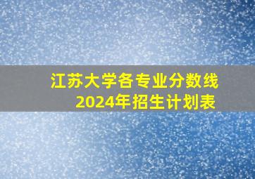 江苏大学各专业分数线2024年招生计划表