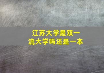 江苏大学是双一流大学吗还是一本