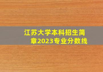 江苏大学本科招生简章2023专业分数线