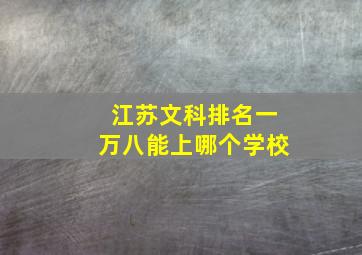 江苏文科排名一万八能上哪个学校