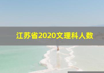 江苏省2020文理科人数