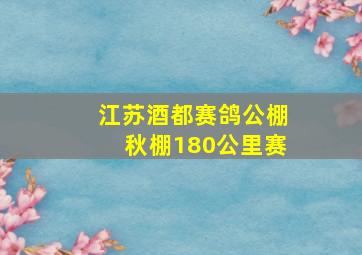 江苏酒都赛鸽公棚秋棚180公里赛